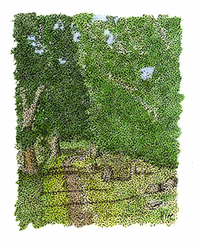 a cycling year - heather dawe