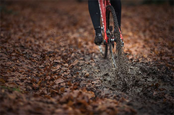 helen wyman xypex-verge sport