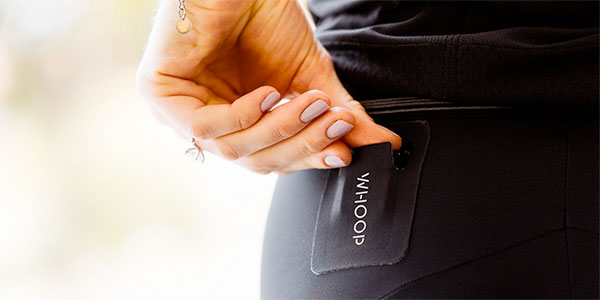 assos/whoop bibshorts