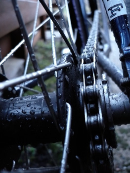 fixed sprocket