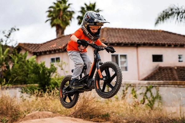 harley davidson kids e-bike
