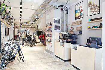 kinoko cycles