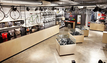 kinoko cycles