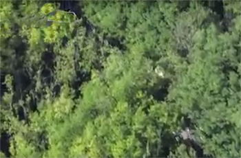 ride of the falling leaves