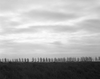 chris milliman