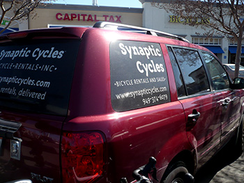 synaptic cycles