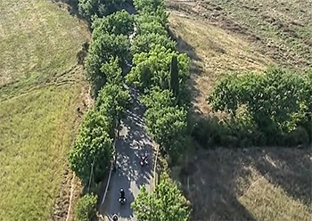 strade bianche 2020