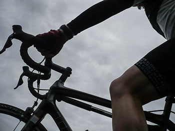 pella bibshorts