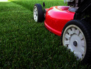 lawnmower