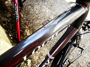 polished ritchey logic 