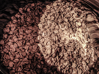 green city jumbo oats