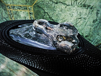 prendas aquatex overshoes