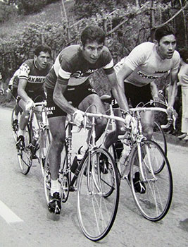 gimondo-merckx