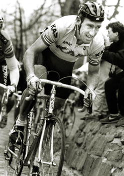 sean kelly
