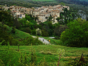 oppedette
