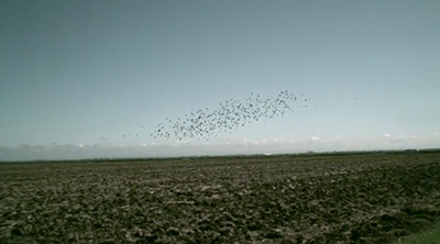 women's ambassadors tour of california