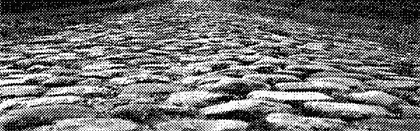 a load of cobbles
