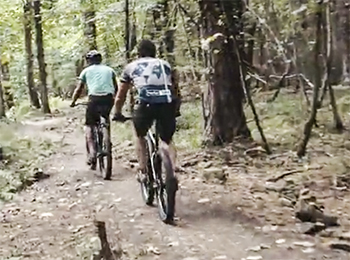 old skool x new skool