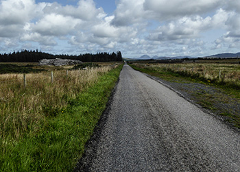 avonvogie road repair