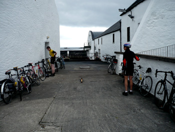 rotfr 2010