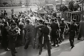 coppi by herbie sykes