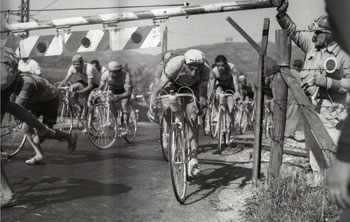 coppi by herbie sykes