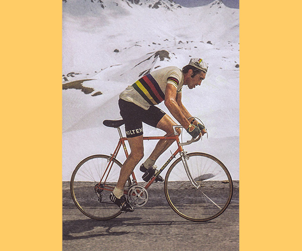 eddy merckx