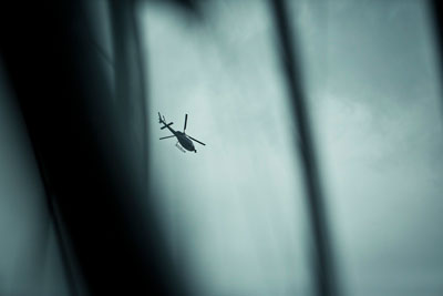 21 days copyright scott mitchell