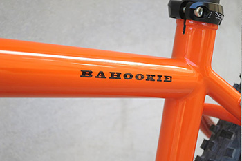 shand bahookie