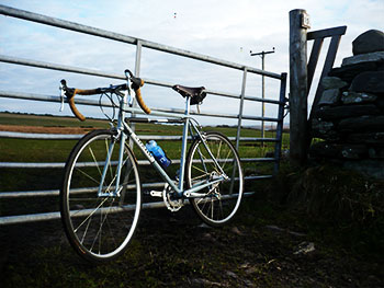 shand cycles skinnymalinky