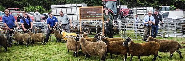 islay show day