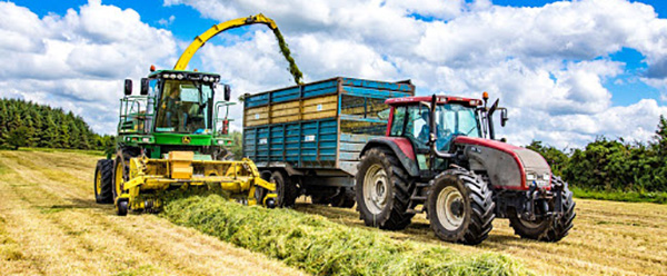 silage
