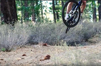 peter sagan - s-works diverge