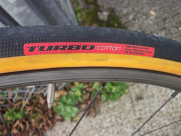 specialized turbo cotton clinchers