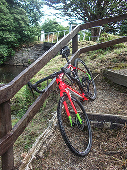 specialized crux elite