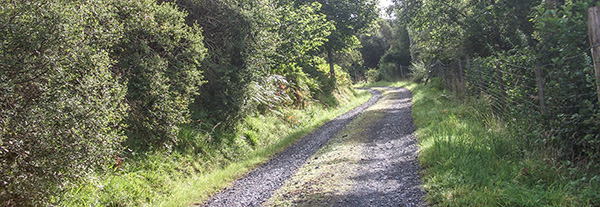 specialized crux elite