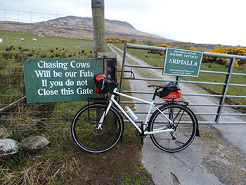 the lost panini of proaig