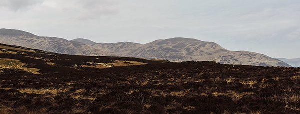the lost panini of proaig