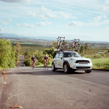 team exergy