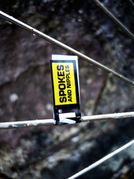 sapim spokes