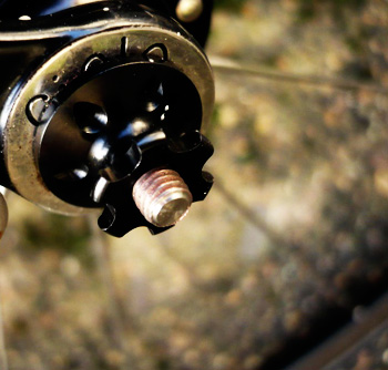 strada skewer nut