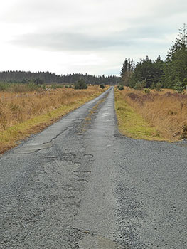 abattoirenberg forest