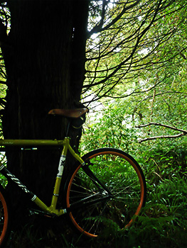 ghisallo wheels