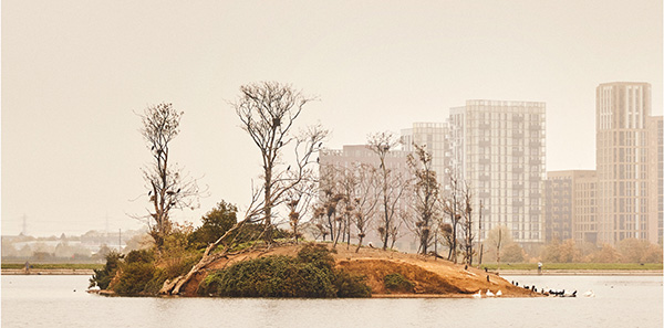 superstore wilderness