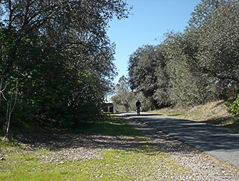 sacramento riverside cycling