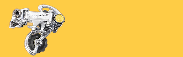 campagnolo 50th anniversary rear derailleur