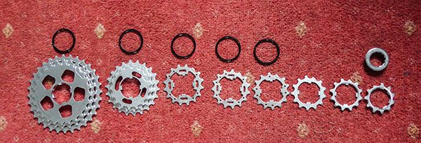 twelve speed cassette