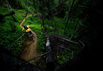 the ride journal issue seven