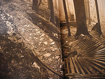 the ride journal issue six