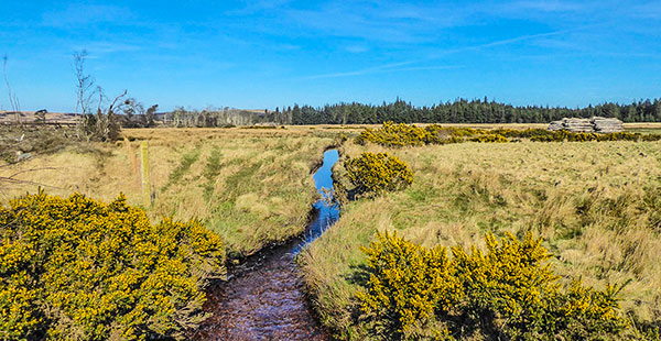 the laggan river from avonvoggie bridge